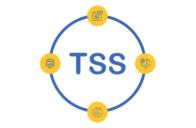 Tally Software Services (TSS)